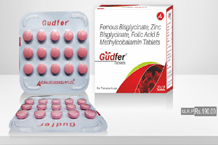 top pharma products of Atlina Lifesciences Karnal Haryana - 	gudfer tablets.jpeg	